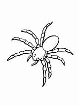 Spinnen Kleurplaat Araignee Dessiner Ausmalbilder Kleurplaten Imprimer Malvorlage Araignée Ausmalbild Spiders Colorir Animales Insetos Kleurplaatjes Stimmen Aranha Barata Knutselen Araña sketch template