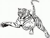 Coloring Tiger Pages Cubs Printable Popular sketch template