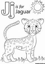 Coloring Jj Jungle Coloringpagesfortoddlers Supercoloring Dibujos Coloringareas Drukuj sketch template