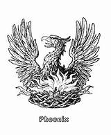 Phoenix Mythical Coloring Creatures Pages Medieval Mythological Fantasy Sheets Bird Animals Printable Fenix Beasts Activity Library Clipart Para Beast Alchemical sketch template