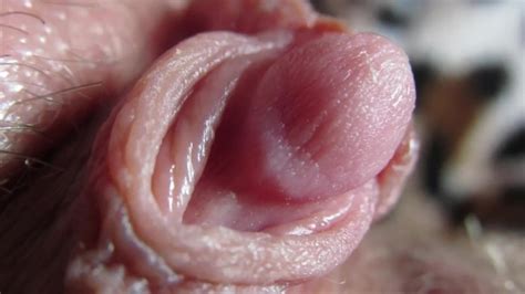 Extreme Close Up On My Pulsating Clit Head And Pussy Juice