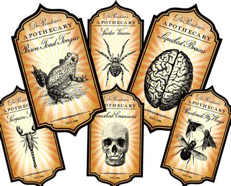 potion labels printable witches labels spell ingredients etsy