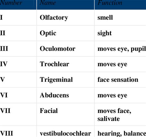 cranial nerves and their functions download scientific diagram