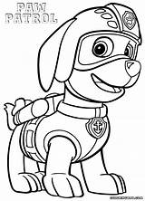 Paw Patrol Coloring Pages Zuma Printable Rocky Drawing Print Book Color Getcolorings Skye Getdrawings Popular Colorings Coloringhome sketch template