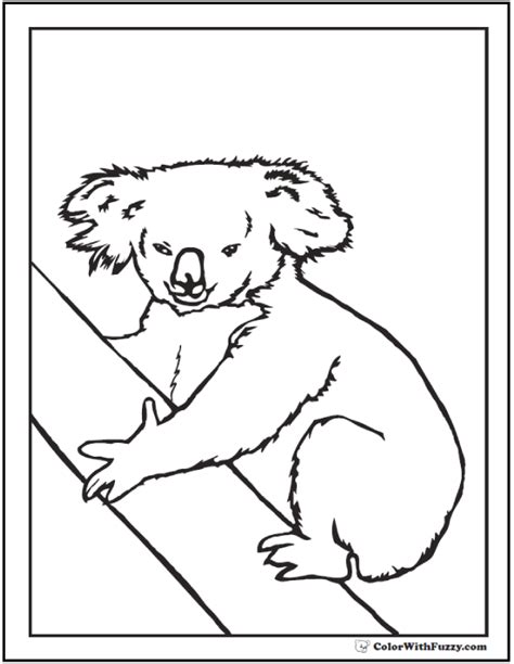 koala coloring pages  kids hop  ride   koala
