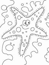 Starfish Coloring Pages Outline Color Sea Glaring Star Fish Kids Print Printable Clipart Drawing Library Coloring2print sketch template