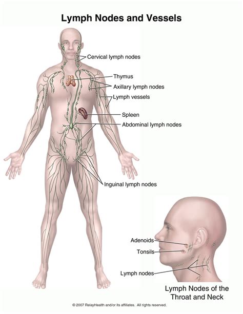 tana jimenez pt lymphedema