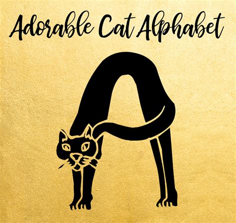 cat alphabet monogram font  cat lovers cricut alphabet etsy