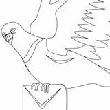 Coloring Pages Pigeons Animals Pigeon Domestic sketch template