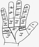 Mounts Palm Palmistry Reading Planets Beginners Hand Fingers Moles Lines Hands Guide Graphic Mount Areas Line Attachment Significance Called Thursdays sketch template