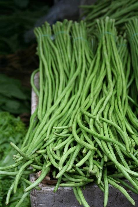 7 exotic asian vegetables that taste great food