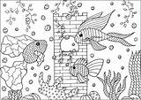 Pesci Fishes Ryby Peces Fische Poissons Kolorowanka Akwariowe Adulti Trois Adultos Druku Justcolor Erwachsene Malbuch Coloriage Rybki Jolis Coloriages Plantes sketch template