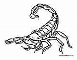 Scorpion Coloring Pages Colormegood Animals sketch template