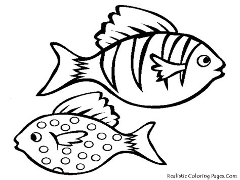 aquarium fish printable coloring sheet realistic coloring pages