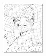 Cat Coloring Pages Persian Book Cats Color Bluecat Adult Getcolorings Print Books Drawing Getdrawings sketch template