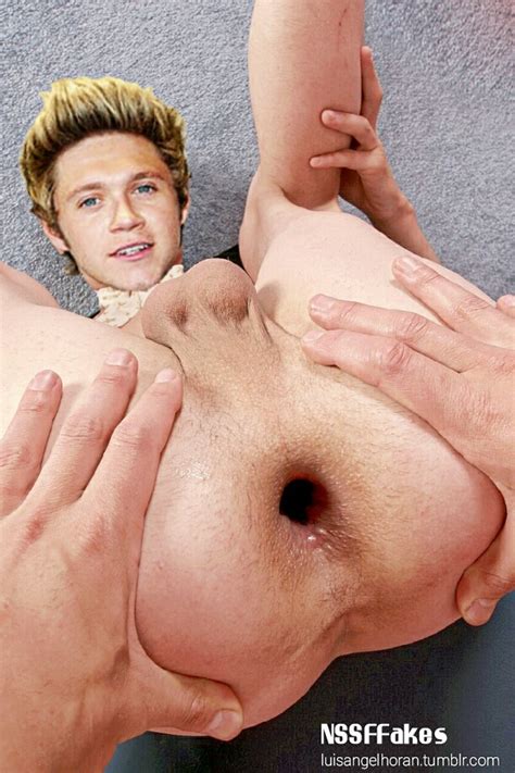 post 3408326 niall horan one direction fakes