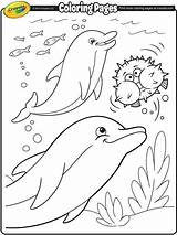 Coloring Pages Dolphins Crayola Ocean Sheets Print Dolphin Printable Kids Summer Animal Fish Colouring Color Sea Adult Whales Books Book sketch template