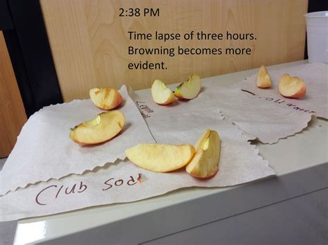 apple preserving apples