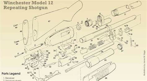 winchester  exploded view  assembly  official journal   nra
