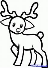 Drawing Draw Reindeer Animals Christmas Drawings Kids Raindeer Animal sketch template