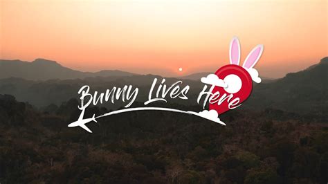 bunny lives  drone cinematic youtube
