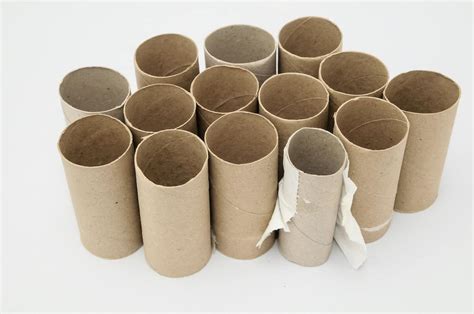 toilet paper tube crafts  adults single girls diy