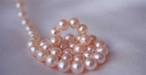 pink pearl seo freelancers solopreneurs pinkseomarketing