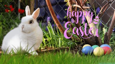 greeting cards easter gif  echilibrultau find share  giphy