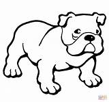 Bulldog Coloring Pages Printable Color American Dog English Bulldogs Puppy Ausmalbilder Colouring Print Hund Animals Drawing Kids Dogs Sheets Supercoloring sketch template