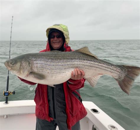 Avid Angler’s Striped Bass Catch Is Pending World Record