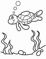 Turtle Coloring Sea Pages Printable Kids Turtles Do Print sketch template