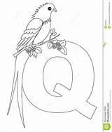 Guatemala Quetzal Designlooter sketch template