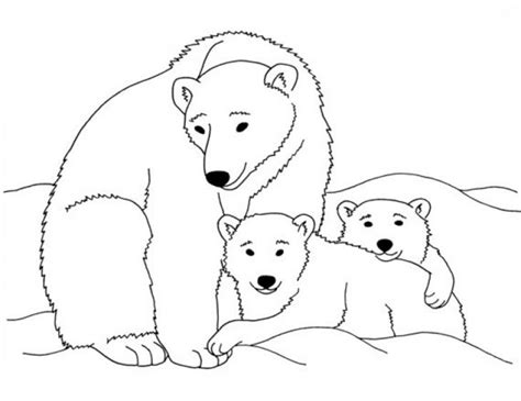 printable polar bear coloring pages everfreecoloringcom