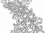 Peacock Coloring Pages Adult Kids Library Clipart Drawing Getdrawings Comments sketch template