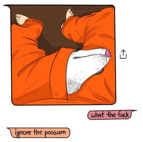 The Possum With Images South Park Memes South Park