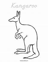 Kangaroo Coloring Built California Usa sketch template