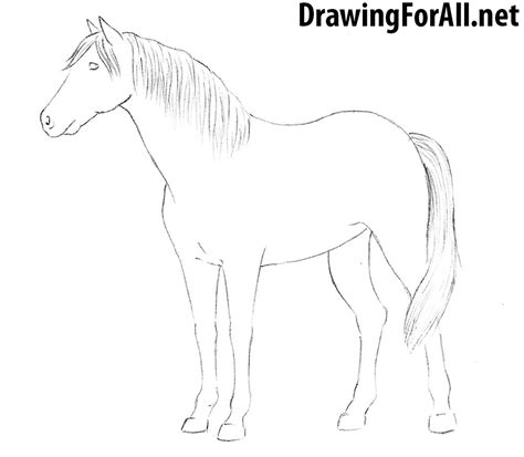 draw  horse