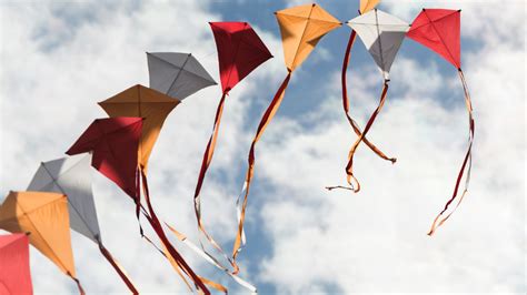 trinity river kite festival promises colorful kites dallas city news
