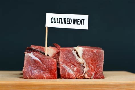 clean meat revolution address agricultures ecological