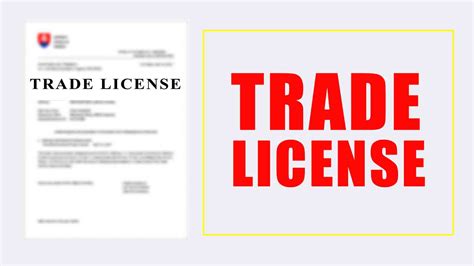 trade licence invest  india virtual cfo virtual general counsel
