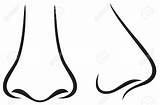 Nose Noses Cartoon Clipart Drawing sketch template