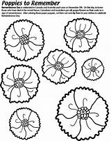 Remembrance Veterans Poppy Anzac Coloring Poppies Pages Template Activities Craft Printable School Primary Military Kids Children Crafts Google Au Activity sketch template