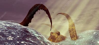 kraken stock image  science photo library