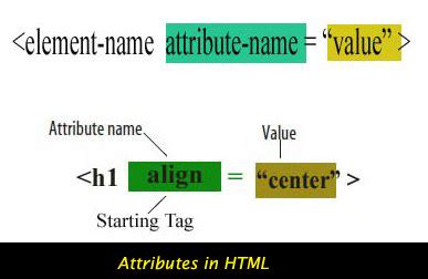 html basics attributes  html