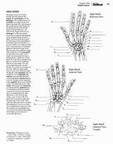 Book Kaplan sketch template