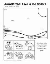 Preschool Habitats Ecosystem Terrestrial Worksheetplace Giraffes Cant sketch template