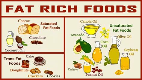 fat foods chart