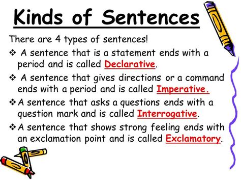 types  sentences english quiz quizizz