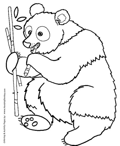 bild galeria coloring pages panda bears
