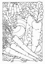 Groenten Verdure Verduras Warzywa Kolorowanki Wydrukowania Vegetable Dover Groente Schoolplaten Educima Kleurplaten доску выбрать Educolor Scarica sketch template